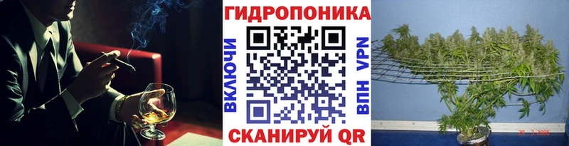 Как найти наркотики Сокол Гашиш  Alpha PVP  Мефедрон  Бошки Шишки 