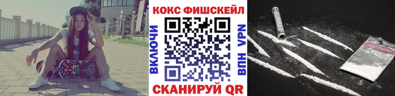 КОКАИН FishScale  дарнет шоп  Сокол 