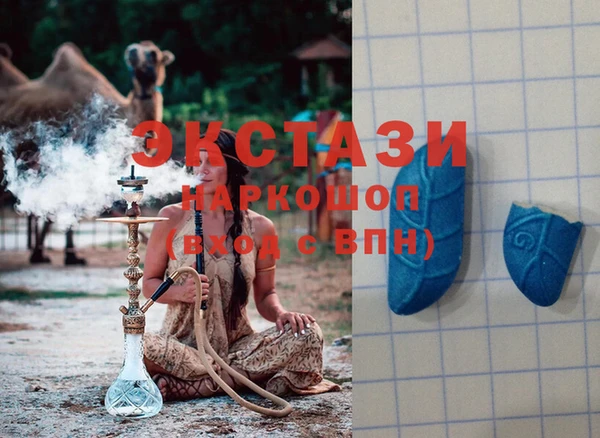 крисы Надым