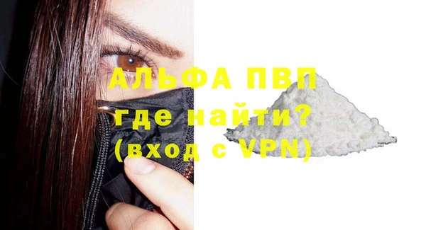 крисы Надым