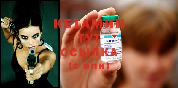 крисы Надым