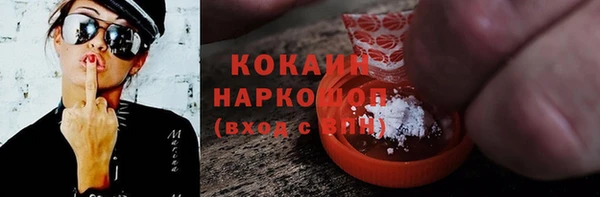 крисы Надым
