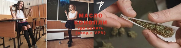 крисы Надым