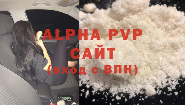 крисы Надым
