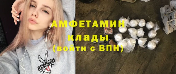 крисы Надым