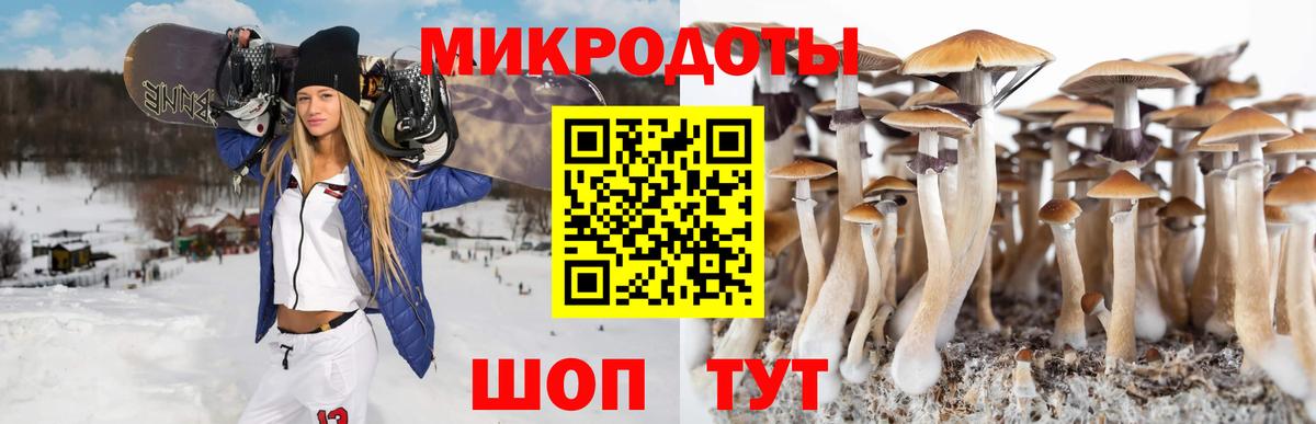 Галлюциногенные грибы ЛСД Сокол