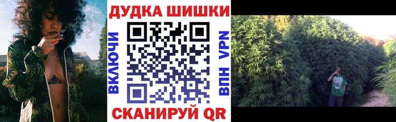 Бошки марихуана Amnesia  Сокол 